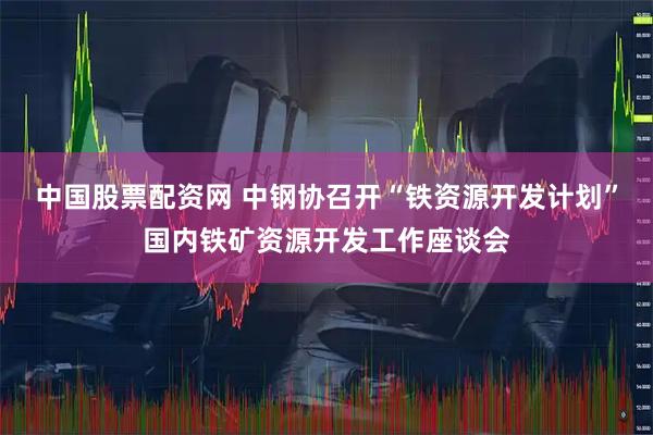 中国股票配资网 中钢协召开“铁资源开发计划”国内铁矿资源开发工作座谈会